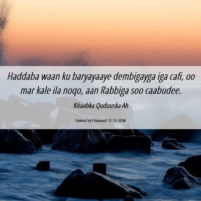 Picture 06 - Samuu'eel Kowaad 15:25 SOM - Haddaba waan ku baryayaaye dembigayga iga cafi, - Bible Verse Picture