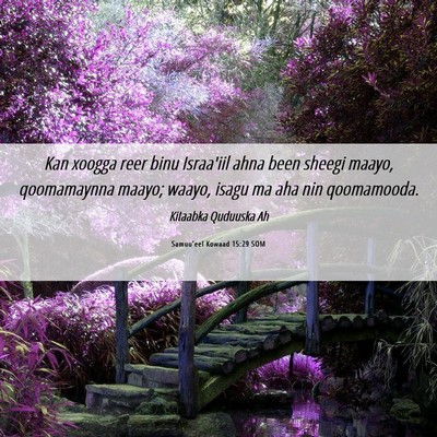 Picture 06 - Samuu'eel Kowaad 15:29 SOM - Kan xoogga reer binu Israa'iil ahna been sheegi - Bible Verse Picture