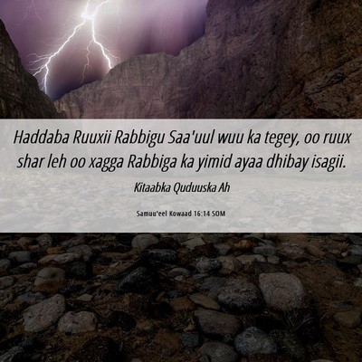 Picture 06 - Samuu'eel Kowaad 16:14 SOM - Haddaba Ruuxii Rabbigu Saa'uul wuu ka tegey, oo - Bible Verse Picture