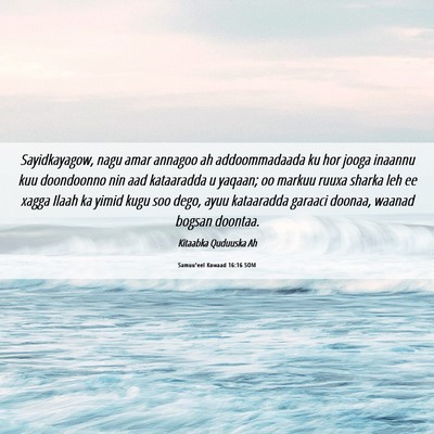 Picture 06 - Samuu'eel Kowaad 16:16 SOM - Sayidkayagow, nagu amar annagoo ah addoommadaada - Bible Verse Picture