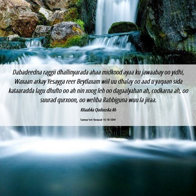Picture 06 - Samuu'eel Kowaad 16:18 SOM - Dabadeedna raggii dhallinyarada ahaa midkood ayaa - Bible Verse Picture