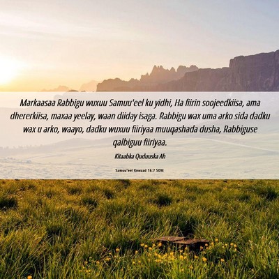 Picture 06 - Samuu'eel Kowaad 16:7 SOM - Markaasaa Rabbigu wuxuu Samuu'eel ku yidhi, Ha - Bible Verse Picture