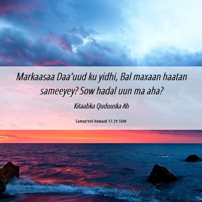 Picture 06 - Samuu'eel Kowaad 17:29 SOM - Markaasaa Daa'uud ku yidhi, Bal maxaan haatan - Bible Verse Picture