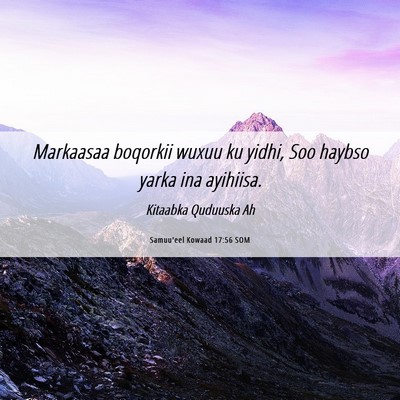 Picture 06 - Samuu'eel Kowaad 17:56 SOM - Markaasaa boqorkii wuxuu ku yidhi, Soo haybso - Bible Verse Picture