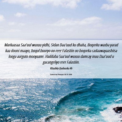 Picture 06 - Samuu'eel Kowaad 18:25 SOM - Markaasaa Saa'uul wuxuu yidhi, Sidan Daa'uud ku - Bible Verse Picture