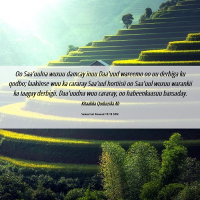 Picture 06 - Samuu'eel Kowaad 19:10 SOM - Oo Saa'uulna wuxuu damcay inuu Daa'uud wareemo oo - Bible Verse Picture