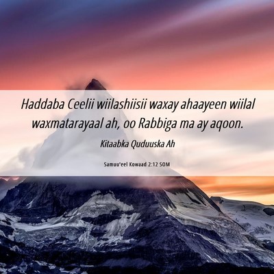 Picture 06 - Samuu'eel Kowaad 2:12 SOM - Haddaba Ceelii wiilashiisii waxay ahaayeen wiilal - Bible Verse Picture