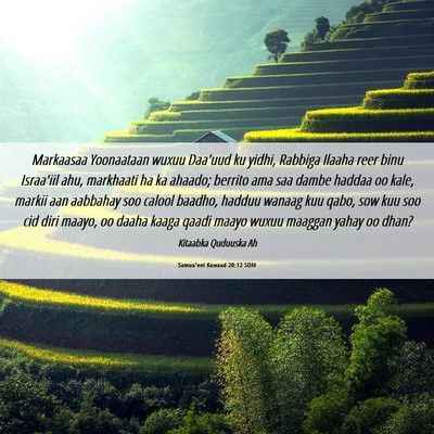 Picture 06 - Samuu'eel Kowaad 20:12 SOM - Markaasaa Yoonaataan wuxuu Daa'uud ku yidhi, - Bible Verse Picture