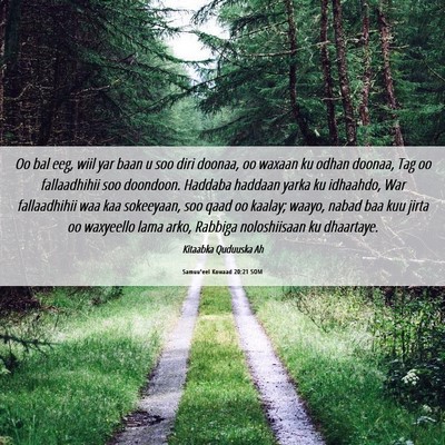 Picture 06 - Samuu'eel Kowaad 20:21 SOM - Oo bal eeg, wiil yar baan u soo diri doonaa, oo - Bible Verse Picture
