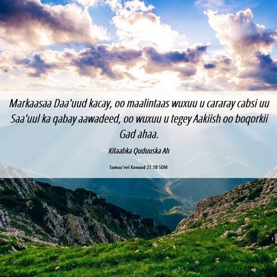 Picture 06 - Samuu'eel Kowaad 21:10 SOM - Markaasaa Daa'uud kacay, oo maalintaas wuxuu u - Bible Verse Picture