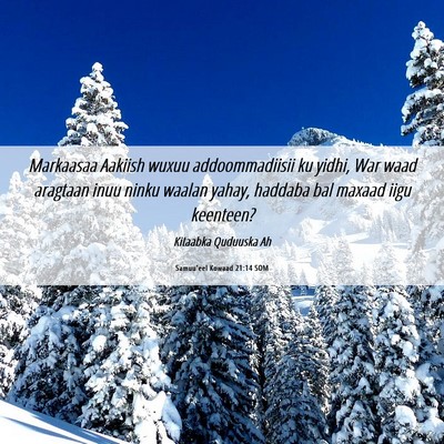Picture 06 - Samuu'eel Kowaad 21:14 SOM - Markaasaa Aakiish wuxuu addoommadiisii ku yidhi, - Bible Verse Picture