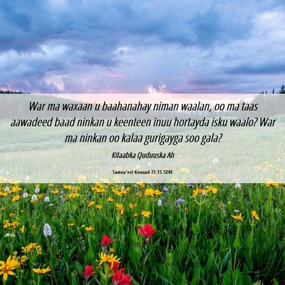 Picture 06 - Samuu'eel Kowaad 21:15 SOM - War ma waxaan u baahanahay niman waalan, oo ma - Bible Verse Picture