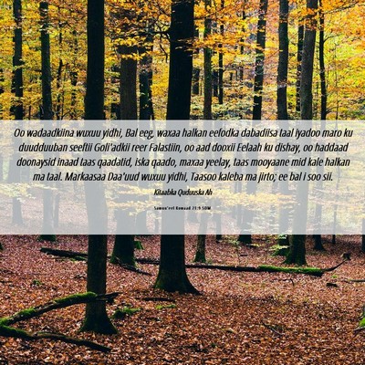 Picture 06 - Samuu'eel Kowaad 21:9 SOM - Oo wadaadkiina wuxuu yidhi, Bal eeg, waxaa halkan - Bible Verse Picture