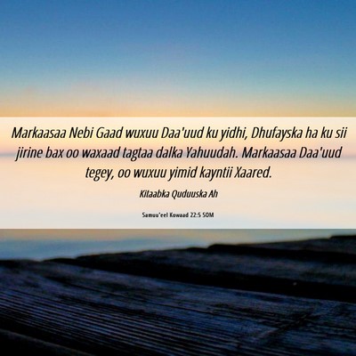 Picture 06 - Samuu'eel Kowaad 22:5 SOM - Markaasaa Nebi Gaad wuxuu Daa'uud ku yidhi, - Bible Verse Picture