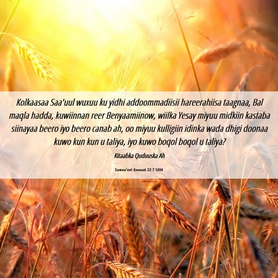 Picture 06 - Samuu'eel Kowaad 22:7 SOM - Kolkaasaa Saa'uul wuxuu ku yidhi addoommadiisii - Bible Verse Picture