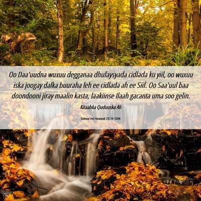 Picture 06 - Samuu'eel Kowaad 23:14 SOM - Oo Daa'uudna wuxuu degganaa dhufaysyada cidlada - Bible Verse Picture