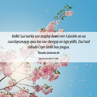 Picture 06 - Samuu'eel Kowaad 24:1 SOM - Kolkii Saa'uul ka soo noqday kuwii reer Falastiin - Bible Verse Picture