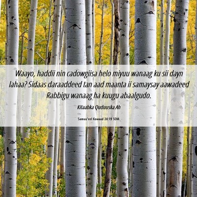 Picture 06 - Samuu'eel Kowaad 24:19 SOM - Waayo, haddii nin cadowgiisa helo miyuu wanaag ku - Bible Verse Picture