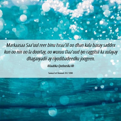 Picture 06 - Samuu'eel Kowaad 24:2 SOM - Markaasaa Saa'uul reer binu Israa'iil oo dhan - Bible Verse Picture