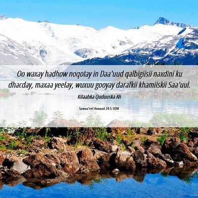 Picture 06 - Samuu'eel Kowaad 24:5 SOM - Oo waxay hadhow noqotay in Daa'uud qalbigiisii - Bible Verse Picture