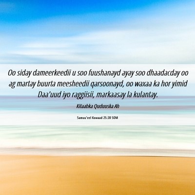Picture 06 - Samuu'eel Kowaad 25:20 SOM - Oo siday dameerkeedii u soo fuushanayd ayay soo - Bible Verse Picture