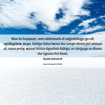 Picture 06 - Samuu'eel Kowaad 25:28 SOM - Waan ku baryayaaye, anoo addoontaada ah - Bible Verse Picture