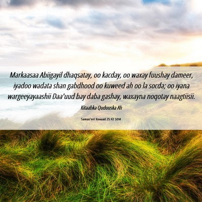 Picture 06 - Samuu'eel Kowaad 25:42 SOM - Markaasaa Abiigayil dhaqsatay, oo kacday, oo - Bible Verse Picture