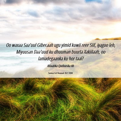 Picture 06 - Samuu'eel Kowaad 26:1 SOM - Oo waxaa Saa'uul Gibecaah ugu yimid kuwii reer - Bible Verse Picture