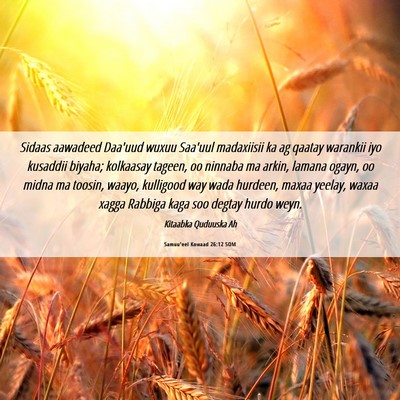 Picture 06 - Samuu'eel Kowaad 26:12 SOM - Sidaas aawadeed Daa'uud wuxuu Saa'uul madaxiisii - Bible Verse Picture