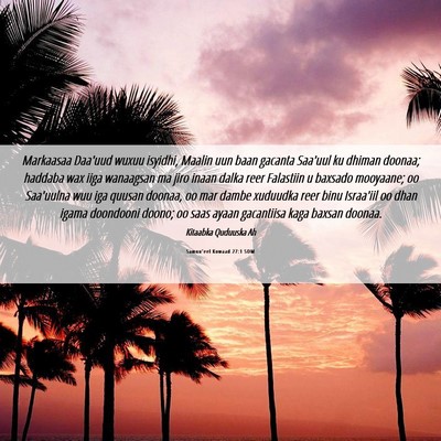 Picture 06 - Samuu'eel Kowaad 27:1 SOM - Markaasaa Daa'uud wuxuu isyidhi, Maalin uun baan - Bible Verse Picture
