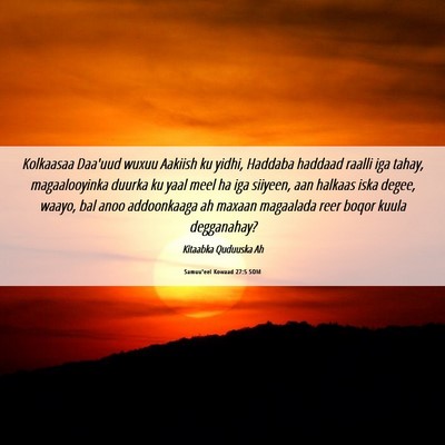 Picture 06 - Samuu'eel Kowaad 27:5 SOM - Kolkaasaa Daa'uud wuxuu Aakiish ku yidhi, Haddaba - Bible Verse Picture