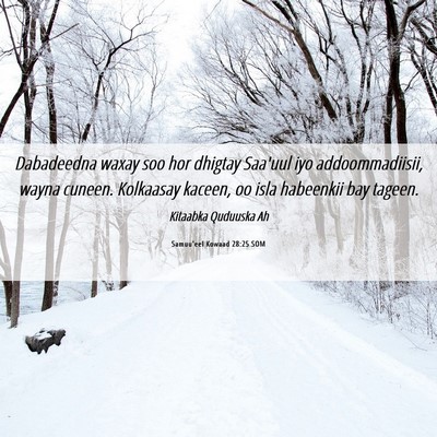 Picture 06 - Samuu'eel Kowaad 28:25 SOM - Dabadeedna waxay soo hor dhigtay Saa'uul iyo - Bible Verse Picture