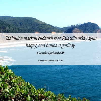 Picture 06 - Samuu'eel Kowaad 28:5 SOM - Saa'uulna markuu ciidankii reer Falastiin arkay - Bible Verse Picture