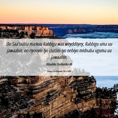 Picture 06 - Samuu'eel Kowaad 28:6 SOM - Oo Saa'uulna markuu Rabbiga wax weyddiiyey, - Bible Verse Picture