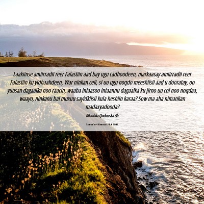 Picture 06 - Samuu'eel Kowaad 29:4 SOM - Laakiinse amiirradii reer Falastiin aad bay ugu - Bible Verse Picture