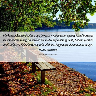Picture 06 - Samuu'eel Kowaad 29:9 SOM - Markaasaa Aakiish Daa'uud ugu jawaabay, Anigu - Bible Verse Picture