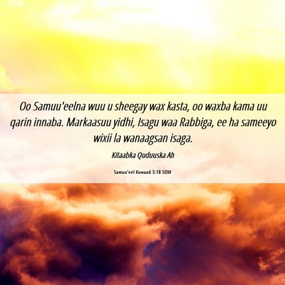Picture 06 - Samuu'eel Kowaad 3:18 SOM - Oo Samuu'eelna wuu u sheegay wax kasta, oo waxba - Bible Verse Picture