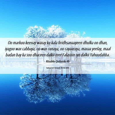 Picture 06 - Samuu'eel Kowaad 30:16 SOM - Oo markuu keenay waxay ku kala firidhsanaayeen - Bible Verse Picture