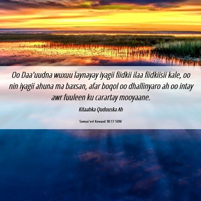 Picture 06 - Samuu'eel Kowaad 30:17 SOM - Oo Daa'uudna wuxuu laynayay iyagii fiidkii ilaa - Bible Verse Picture