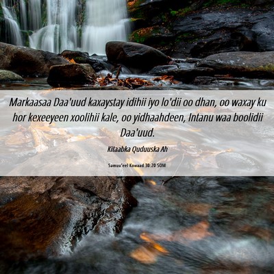 Picture 06 - Samuu'eel Kowaad 30:20 SOM - Markaasaa Daa'uud kaxaystay idihii iyo lo'dii oo - Bible Verse Picture