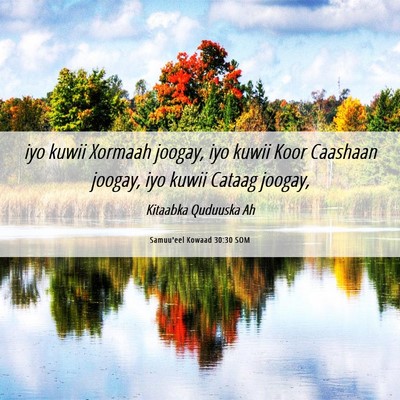 Picture 06 - Samuu'eel Kowaad 30:30 SOM - iyo kuwii Xormaah joogay, iyo kuwii Koor Caashaan - Bible Verse Picture