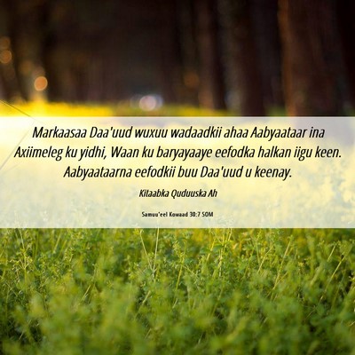 Picture 06 - Samuu'eel Kowaad 30:7 SOM - Markaasaa Daa'uud wuxuu wadaadkii ahaa Aabyaataar - Bible Verse Picture