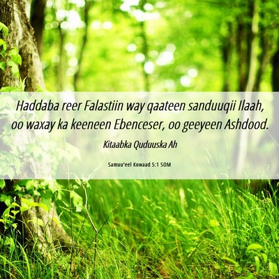 Picture 06 - Samuu'eel Kowaad 5:1 SOM - Haddaba reer Falastiin way qaateen sanduuqii - Bible Verse Picture