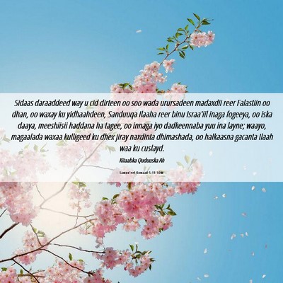 Picture 06 - Samuu'eel Kowaad 5:11 SOM - Sidaas daraaddeed way u cid dirteen oo soo wada - Bible Verse Picture