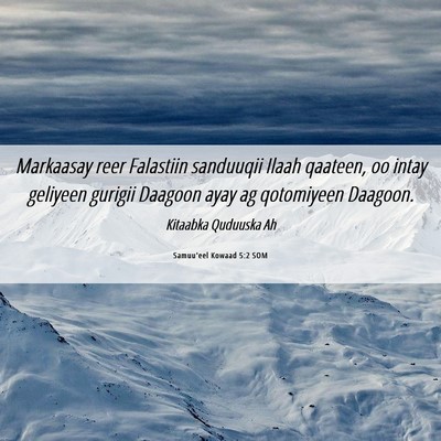 Picture 06 - Samuu'eel Kowaad 5:2 SOM - Markaasay reer Falastiin sanduuqii Ilaah qaateen, - Bible Verse Picture