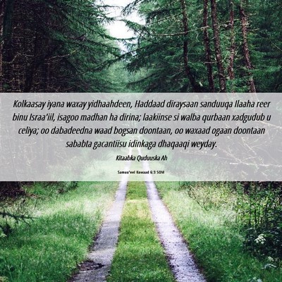 Picture 06 - Samuu'eel Kowaad 6:3 SOM - Kolkaasay iyana waxay yidhaahdeen, Haddaad - Bible Verse Picture