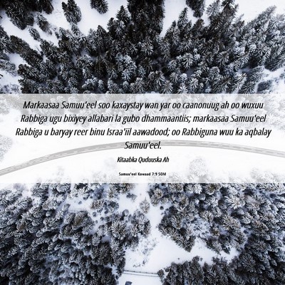 Picture 06 - Samuu'eel Kowaad 7:9 SOM - Markaasaa Samuu'eel soo kaxaystay wan yar oo - Bible Verse Picture