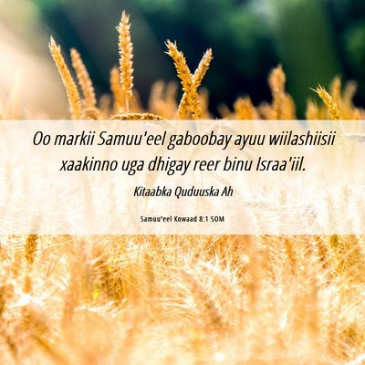 Picture 06 - Samuu'eel Kowaad 8:1 SOM - Oo markii Samuu'eel gaboobay ayuu wiilashiisii - Bible Verse Picture
