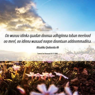 Picture 06 - Samuu'eel Kowaad 8:17 SOM - Oo wuxuu idinka qaadan doonaa adhigiinna toban - Bible Verse Picture