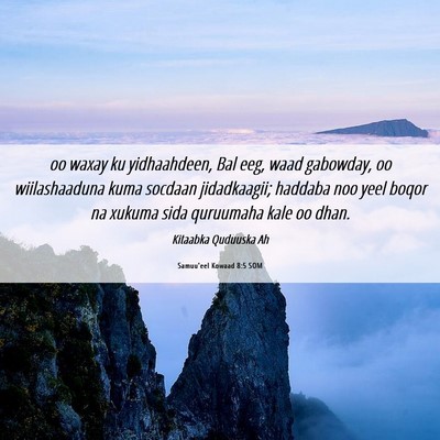 Picture 06 - Samuu'eel Kowaad 8:5 SOM - oo waxay ku yidhaahdeen, Bal eeg, waad gabowday, - Bible Verse Picture